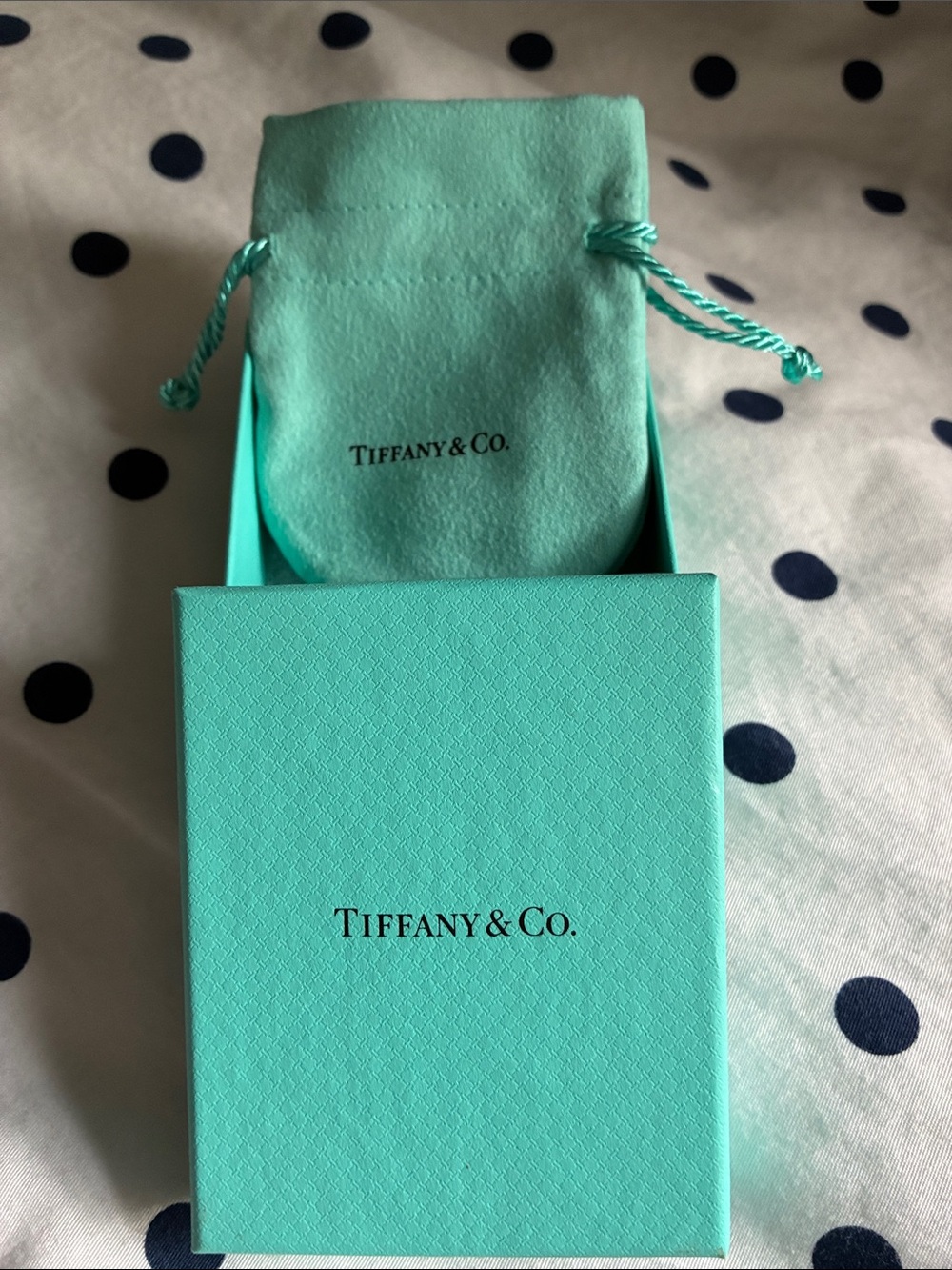 Tiffany & Co. Turquoise Blue Pouch and Box Set